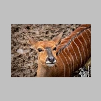 2025_03_01_OPEL_Zoo_IMG_5898.jpg